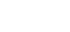 Arora Engineers logo