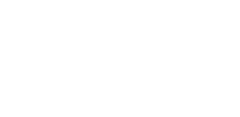 Leap29 logo